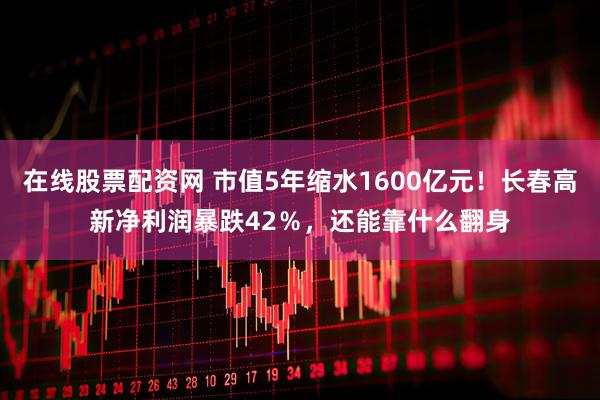在线股票配资网 市值5年缩水1600亿元！长春高新净利润暴跌42％，还能靠什么翻身